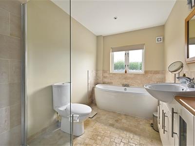 Picture 20
